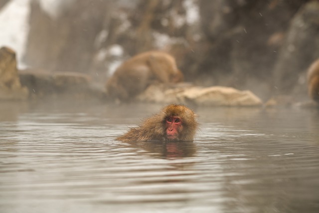 onsen