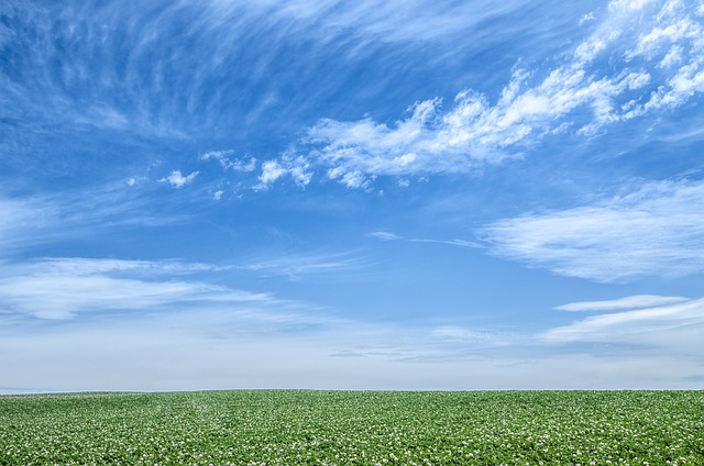 青空